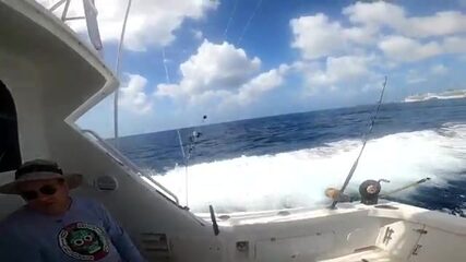Кто сегодня поймает больше рыбы на Арубе - Джон или Сьюзен?