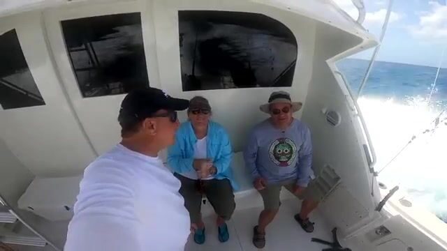 Кто сегодня поймает больше рыбы на Арубе - Джон или Сьюзен?
