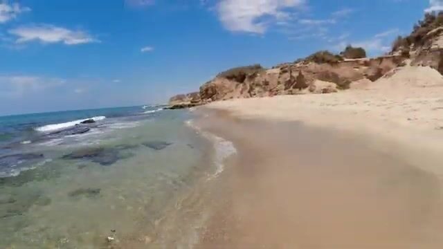 Сарг на червя и кладки черепах на пляже Ашкелона