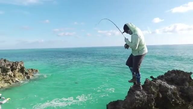 На Астове (Сейшелы) гигантского каранкса ищут не в воде, а на спинах скатов