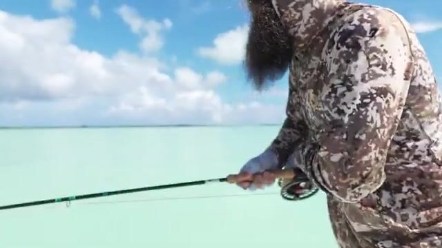 На Астове (Сейшелы) гигантского каранкса ищут не в воде, а на спинах скатов