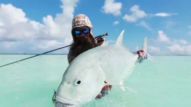 На Астове (Сейшелы) гигантского каранкса ищут не в воде, а на спинах скатов