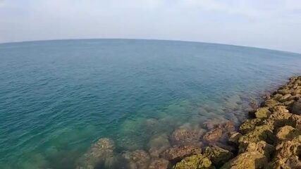 Бахрейн: где на ультралайт искать пятнистого каранкса?