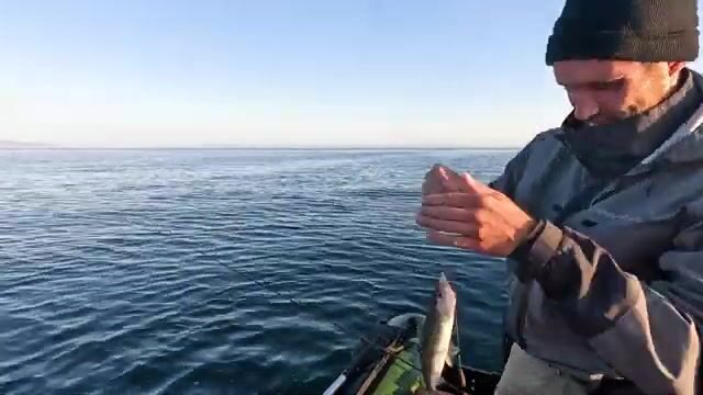 Ветер над Байкалом, мормышка в руках и хариус у дальней бровки