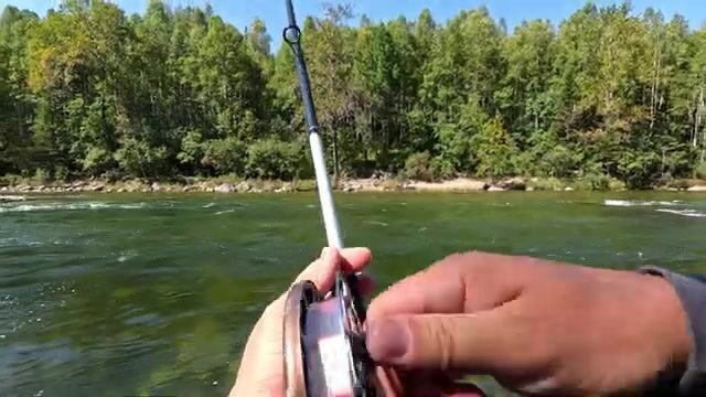 Ветер над Байкалом, мормышка в руках и хариус у дальней бровки