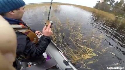 Сколько щук выдержат шхеры Балтийского моря в один хмурый день?