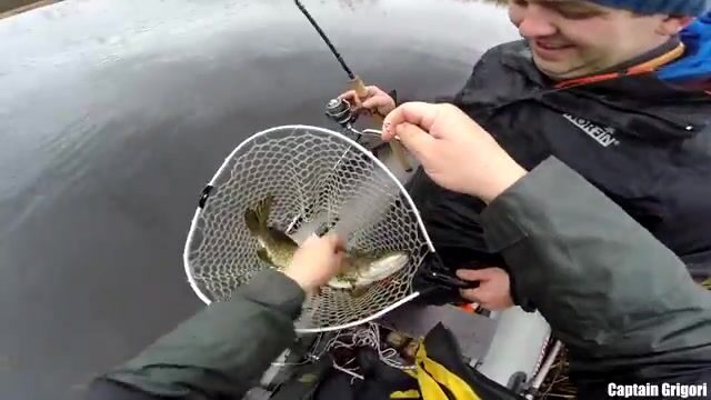 Сколько щук выдержат шхеры Балтийского моря в один хмурый день?