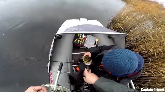 Сколько щук выдержат шхеры Балтийского моря в один хмурый день?