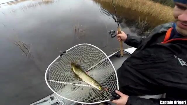 Сколько щук выдержат шхеры Балтийского моря в один хмурый день?