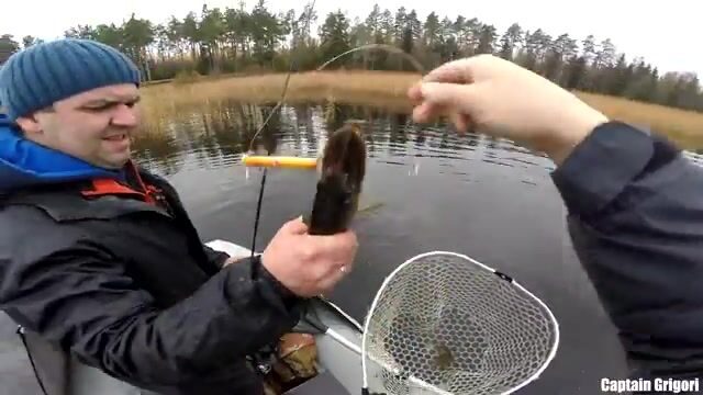 Сколько щук выдержат шхеры Балтийского моря в один хмурый день?