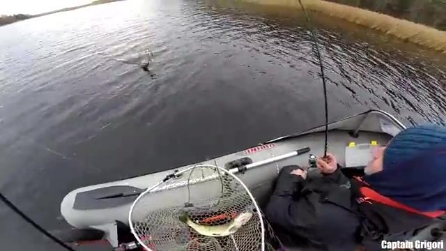 Сколько щук выдержат шхеры Балтийского моря в один хмурый день?
