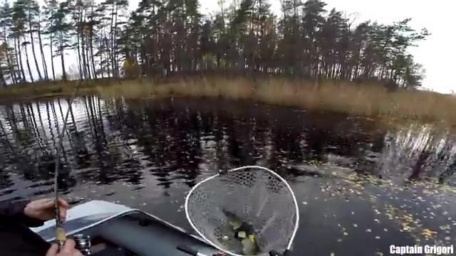 Сколько щук выдержат шхеры Балтийского моря в один хмурый день?