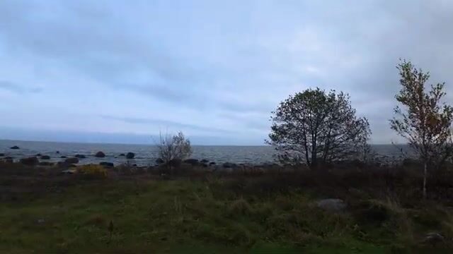 Семь часов. Ноль поклёвок. Балтийское море как есть