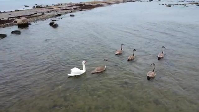 Семь часов. Ноль поклёвок. Балтийское море как есть