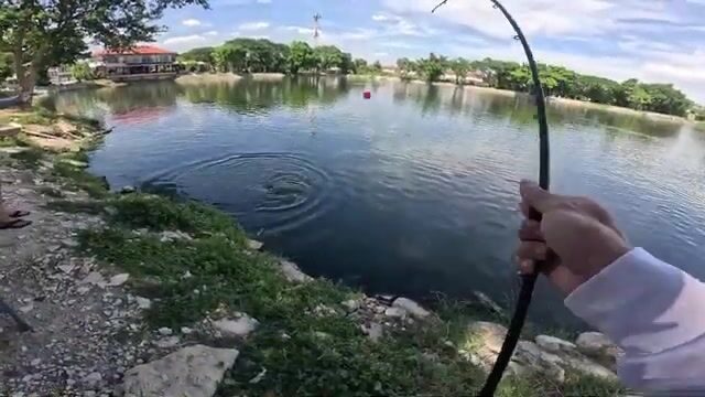 150 бат за вход, и меконгский сом на крючке - будни платного пруда в Бангкоке