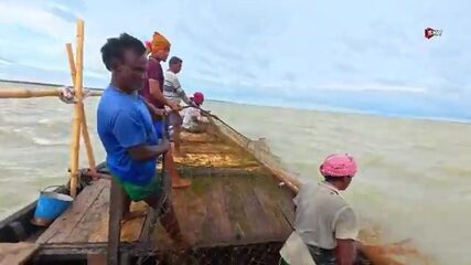 Зачем рыбаки Бангладеш выходят на реку в шторм? Ради илиша