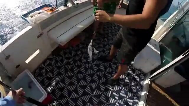Тащи, тащи! - вечер с удочкой на волноломе в Барселоне