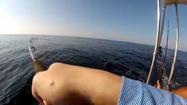 Тащи, тащи! - вечер с удочкой на волноломе в Барселоне