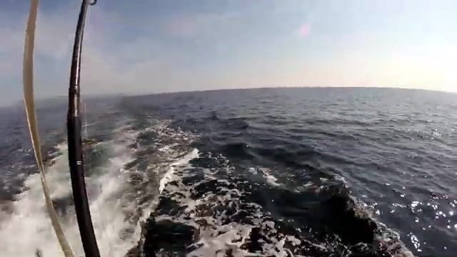 Тащи, тащи! - вечер с удочкой на волноломе в Барселоне