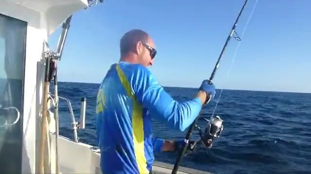 Во второй день в Бискайском заливе тунец пошёл под сто пятьдесят кило