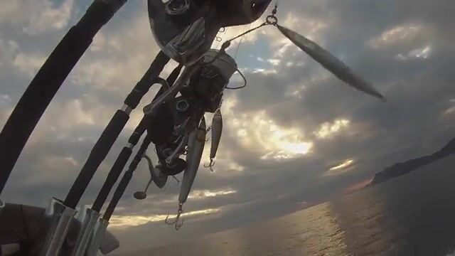 Гасконский залив, день четвёртый: тунец давит, руки сдают