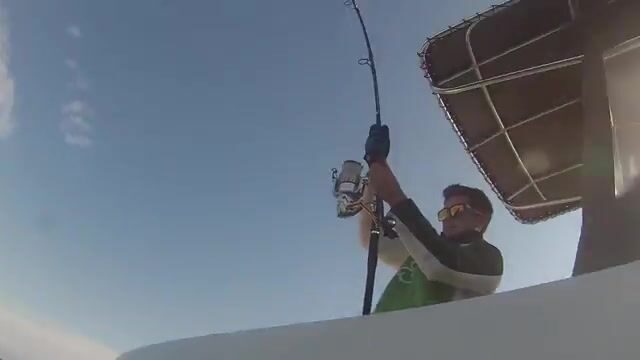 Гасконский залив, день четвёртый: тунец давит, руки сдают