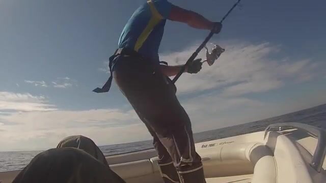 Гасконский залив, день четвёртый: тунец давит, руки сдают