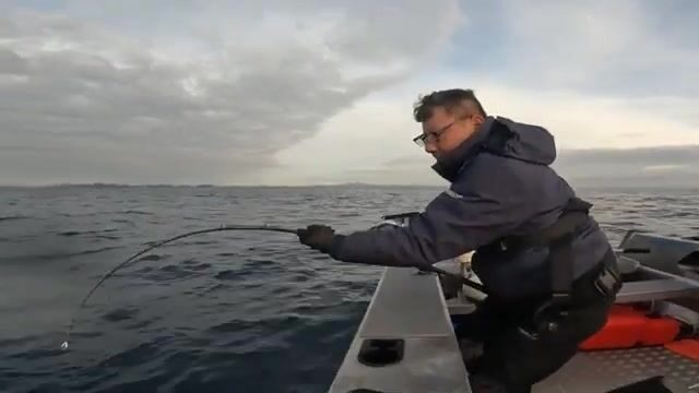 Бей-оф-Айлендс ночью: зачем джиговать тунца в кромешной тьме?