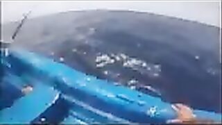 Ищи плавающий мусор - так берут дорадо у Баяибе