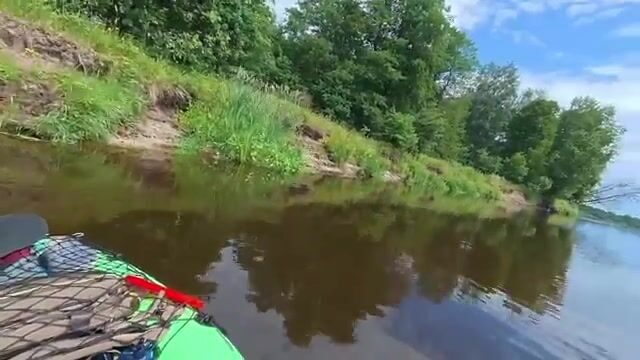 Сплавляюсь на каяке по Берёзине и облавливаю завалы вертушкой