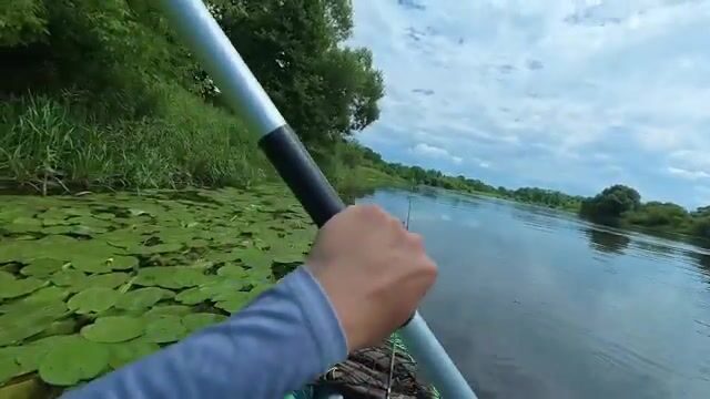 Сплавляюсь на каяке по Берёзине и облавливаю завалы вертушкой