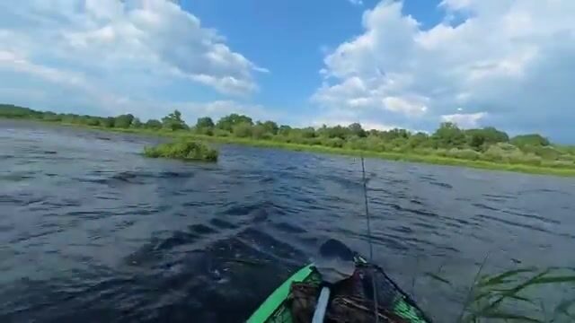 Сплавляюсь на каяке по Берёзине и облавливаю завалы вертушкой