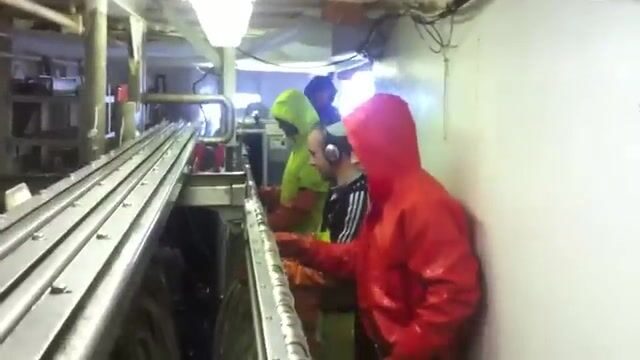 «Держись за леер»: треска Берингова моря на палубе не даёт передышки