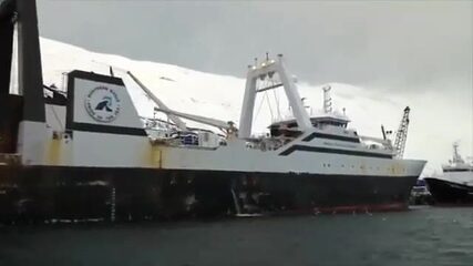 200 тонн минтая за один трал: будни плавучего завода в Беринговом море