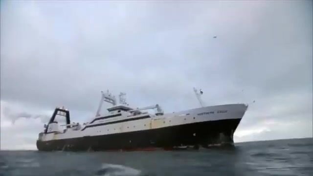 200 тонн минтая за один трал: будни плавучего завода в Беринговом море