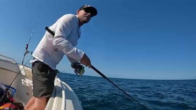 Микроджиг на Бимини берёт желтохвоста, ваху и жёлтого джека за один выход