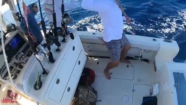 Микроджиг на Бимини берёт желтохвоста, ваху и жёлтого джека за один выход