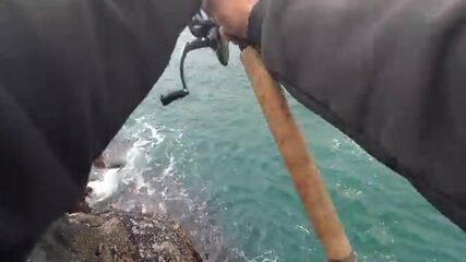 «Чёрное море»: шесть чёрных морских окуней с обледеневших камней