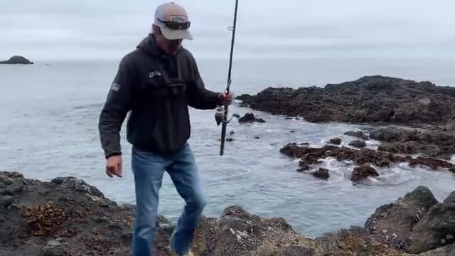 «Чёрное море»: шесть чёрных морских окуней с обледеневших камней