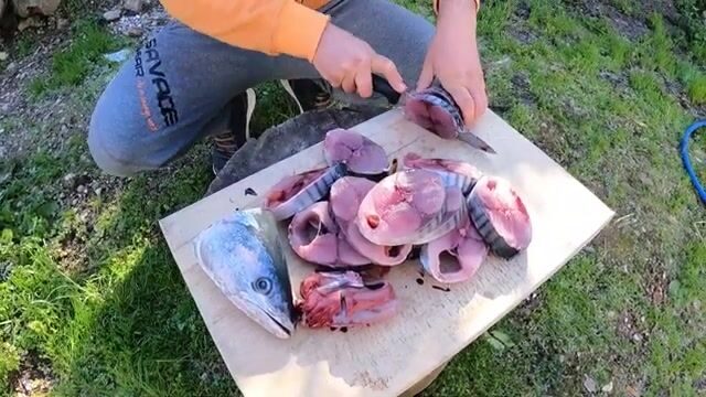 Хочешь взять луфаря под Бодрумом - грузи джиговый спиннинг в фургон
