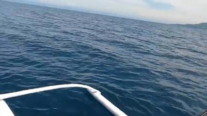 На Бохоле тунец идёт следом за ветром и птицами