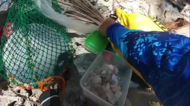 Бохольский отлив, лёгкий спиннинг и жареная рыба на костре (Филиппины)