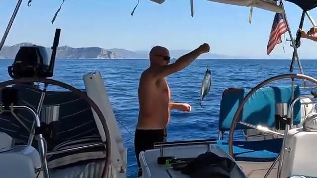 До Бозбуруна шесть часов хода, а тунец уже бьётся о борт у Фетхие