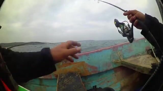 В Болгарии волна тихая, а клёв - бешеный