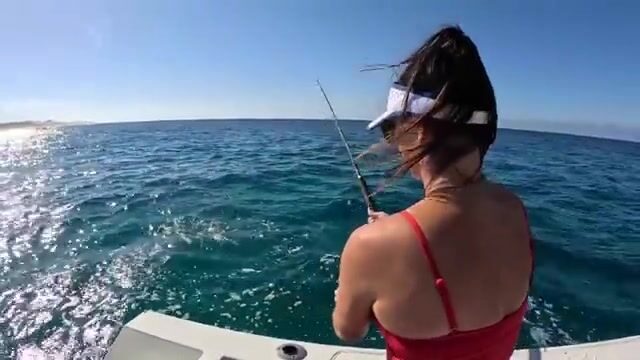 Три вида на крючке за один выход: петух, дорадо и марлин в водах Кабо-Сан-Лукаса