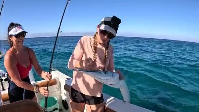 Три вида на крючке за один выход: петух, дорадо и марлин в водах Кабо-Сан-Лукаса