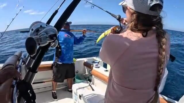 Три вида на крючке за один выход: петух, дорадо и марлин в водах Кабо-Сан-Лукаса