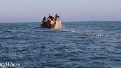 Каспийское море: сеть в четыреста метров тянут волоком с берега