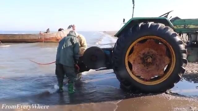 Каспийское море: сеть в четыреста метров тянут волоком с берега