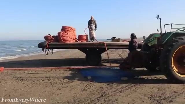 Каспийское море: сеть в четыреста метров тянут волоком с берега